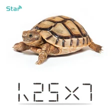 20pcs 1.25x7mm Smallest Animal Microchip For PET ID Track FDX-B EM4305 Dog Chips