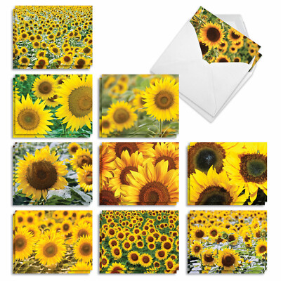 20 Blank Note Cards 4x5.12'' w/ Envelopes (10 Designs,2 Each) SUNNY SIDE UP