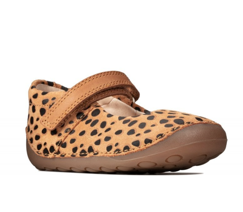 clarks atticus
