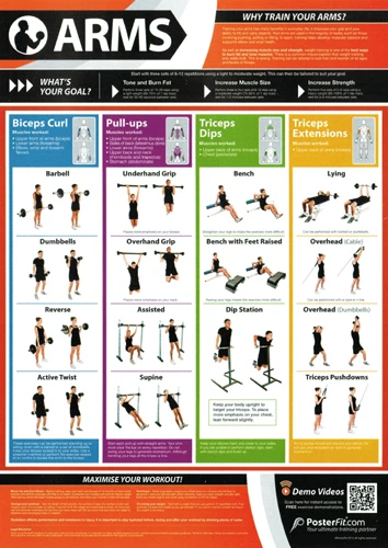 Arm workouts at the gym deals