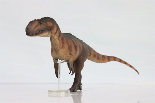 PNSO Yangchuanosaurus Magnus 76 Dinosaur Model Collections Figure Gift Toys - Picture 18 of 24