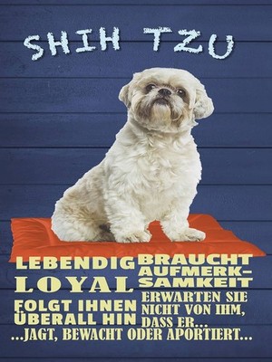Holzschild 40x30 cm Shih Tzu Hund lebendig loyal Deko Geschenk Holz Schild