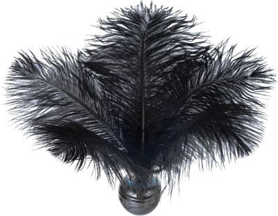Natural Black Ostrich Feathers Bulk  Multiple Sizes & Qty Options for DIY Crafts