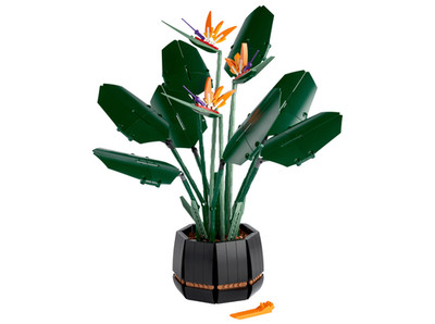 10289 Botanicals Paradiesvogel NEU; NEW, 100% kompatibel
