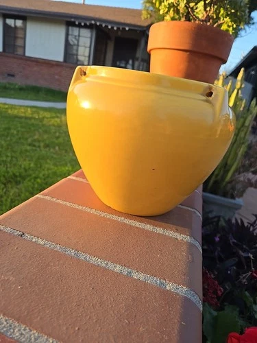 Rare Bauer Hanging Planter