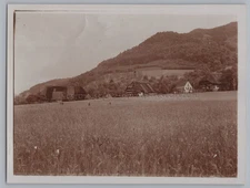 Schwarzwald Häuser Bauernhäuser Bauern bei Getreideernte Landwirtschaft Foto