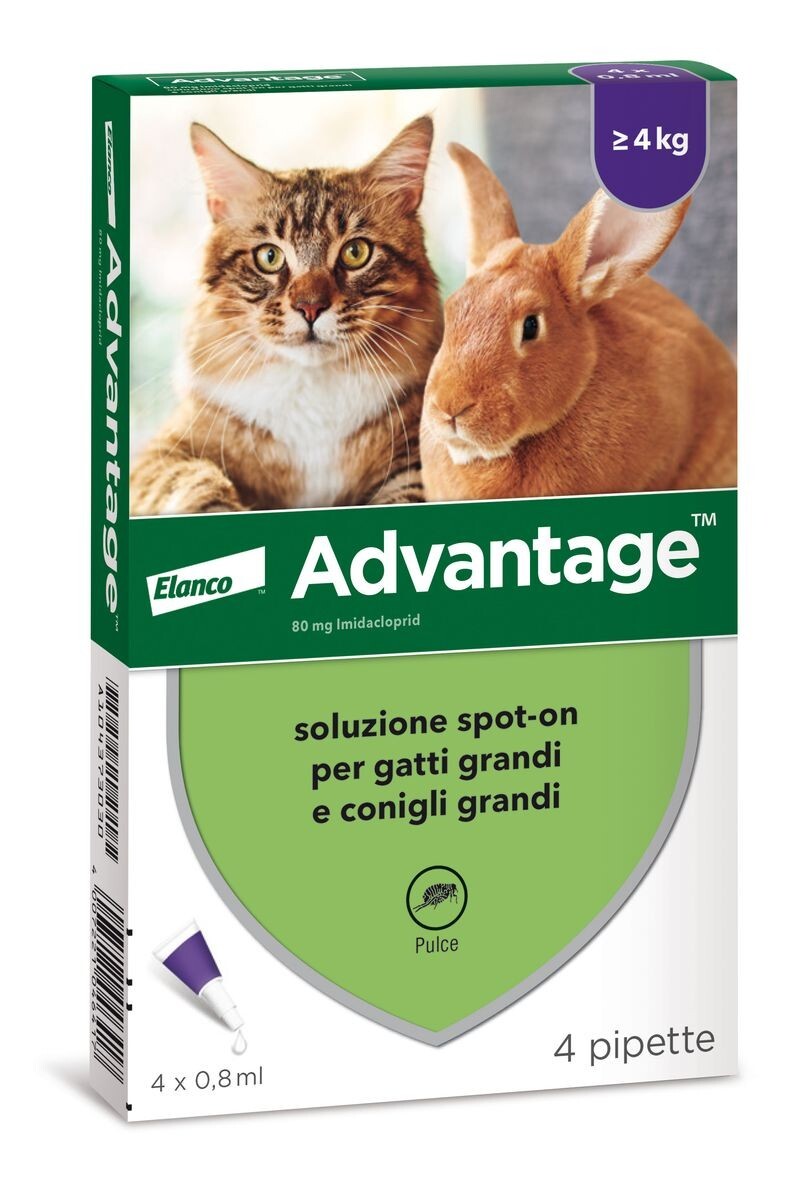 Advantage Antiparassitario Spot-On Gatti E Conigli grandi