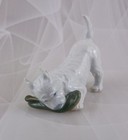 Foto 2 di 5
