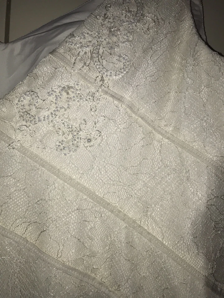 美丽全新 VERA WANG 白色 Davids BRIDAL PLUS 尺码 24W 串珠婚纱 — 第 4/4 张图片