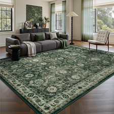 5X7 Area Rugs, Soft Non Slip Low Pile Washable Rug, Boho Modern Rug for Living R