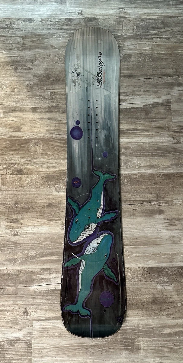 Jamie Lynn Snowboard for sale - eBay