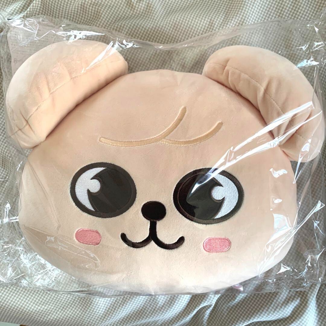 Stray Kids SKZOO Official Plush Cushion PuppyM Seungmin | eBay
