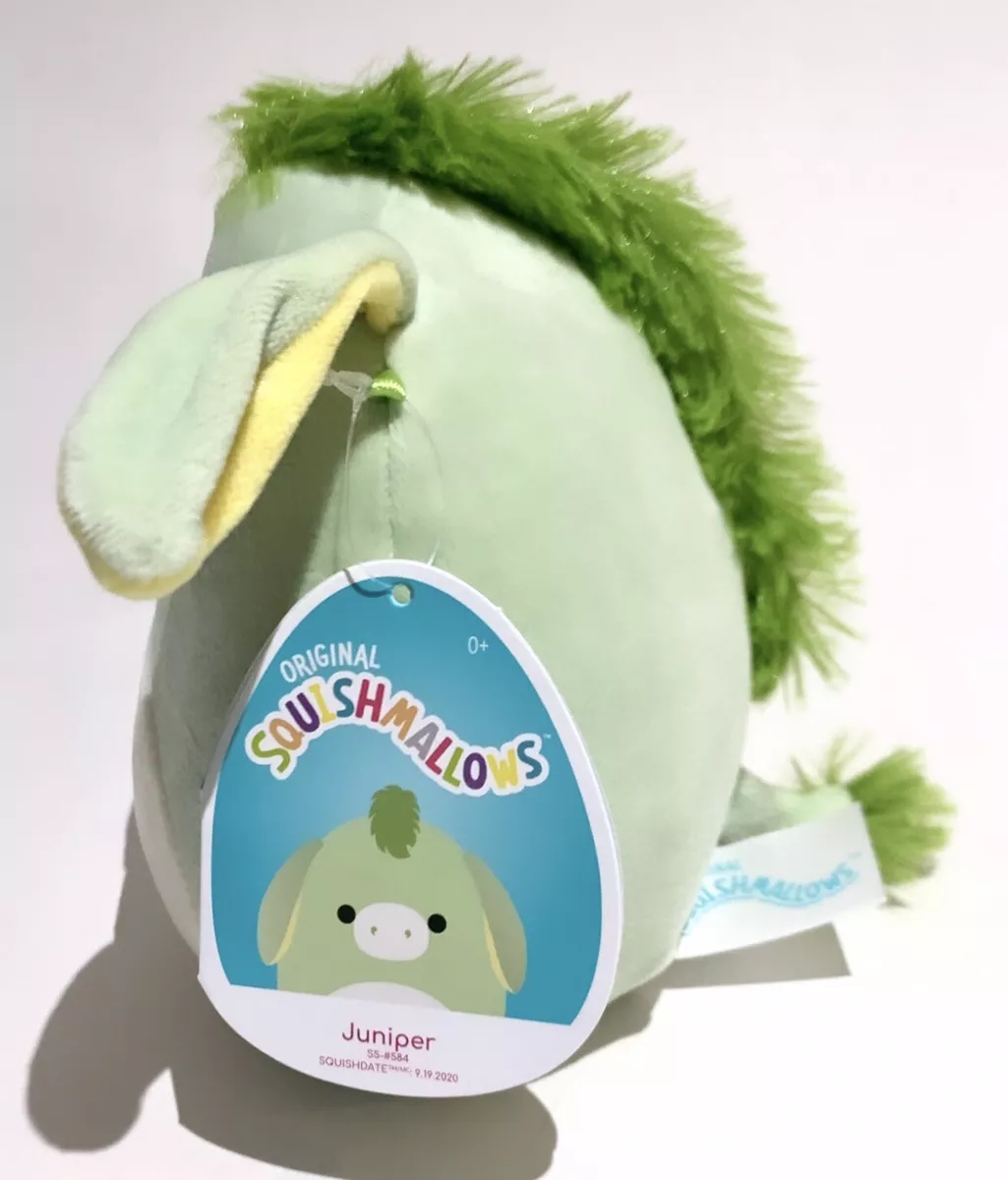 Juniper squishmallow 2024