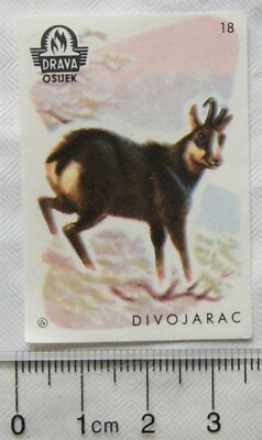 Vintage Matchbox Label - Drava Osijek - Divojarac