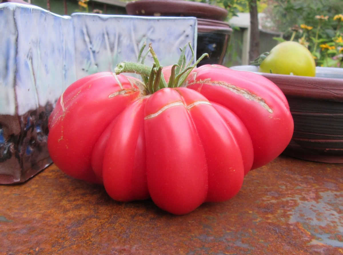 TOMATO　おまとめ商品 TomatoSlicer TomatoKun TMS80-10 | CHIBA KOGYOSHO