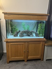 Rare Solid Oak Aquarium Set – Full Setup incl.