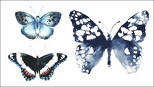 Flash Temporary Adhesive Tattoo Butterfly Party Gift Beach Vacation