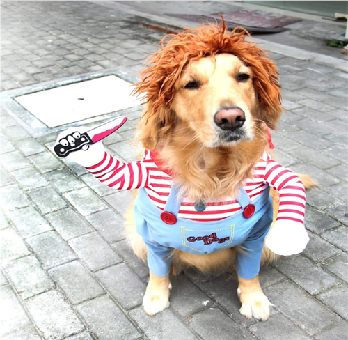 dogs dressed as chucky