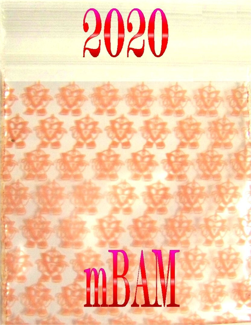 100 PACK  SHERO4  ALL SIZES Apple Zip Baggies 1010 TO 2020 Mini POLYBAGS