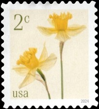 2024 2c Daffodils, Pane Single Scott 5898 Mint F/VF NH