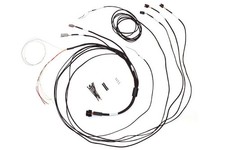Haltech Ht-060300 Semi-terminated Harness For Ic-7 Display Dash Haltech Ht-060300 Semi-terminated Harness For Ic-7 Display Dash