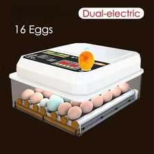 16-egg Farm Poultry Fully Automatic Egg Turning Incubator Home Chick Brooder