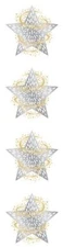 Mrs Grossman`s CELEBRATION STAR Reflections 2011 Stickers