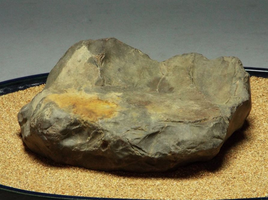 Japanese Collection Suiseki Bonsai Beautiful Stone 滋賀 瀬田川/水