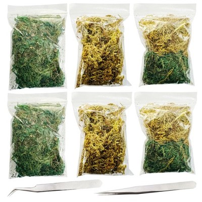 6 Packungen Kunstpflanzen Fake Moos Frisch Grün Moos Frisch Kunst...