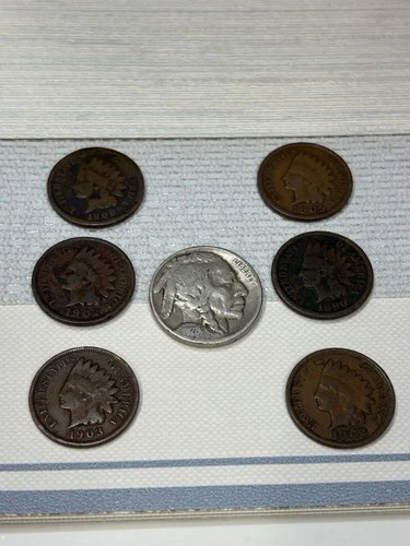 Old U.S. Coin Lot! 6 Indian Head Cent & 1 Lonely Buffalo Nickel. FREE SHIPPING!