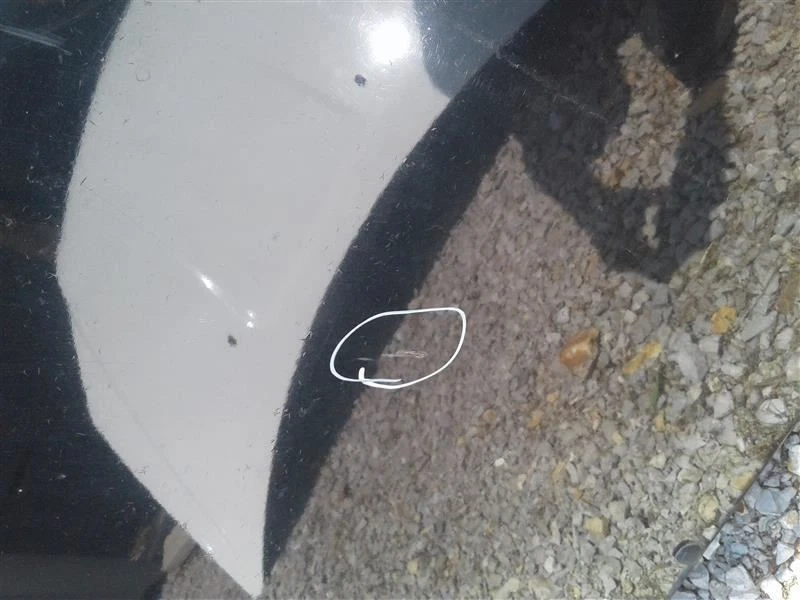 (LOCAL PICKUP ONLY) Hood Fits 02-04 XTERRA 220617 - Image 4 of 4