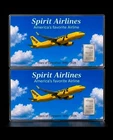 Lot of 2 Spirit Airlines Commemorative 1g Silver Bar Set 999 Fine Valcambi Mint