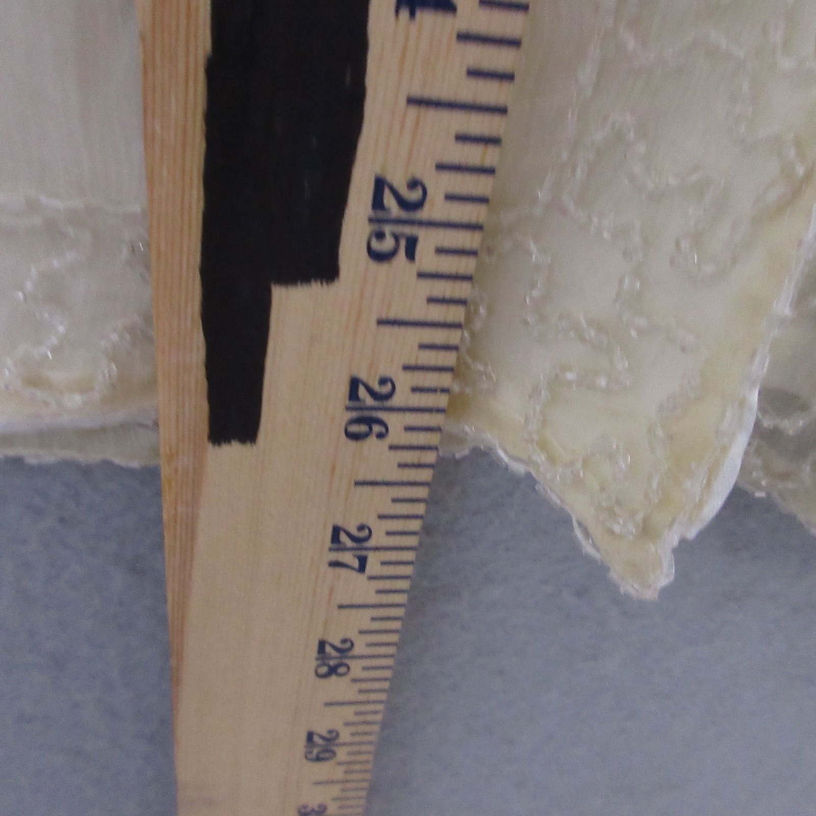 Picture 8 of 13