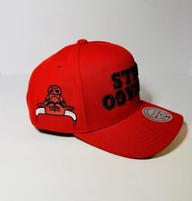 Chicago Bulls Red Mitchell & Ness Upside Down Hat Cap Snapback A-Frame 