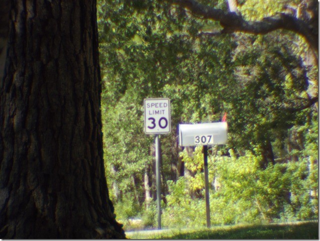Picture 7 of 9