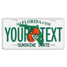 Florida Personalized Custom Aluminum License Plate Tag Any Text Your Name
