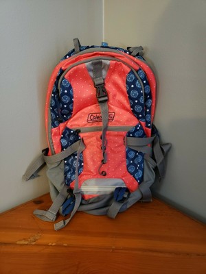 daypack with bladder