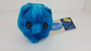 rhinovirus plush