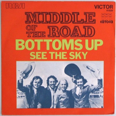 Bottoms Up Middle Of The Road Top Zustand Correct