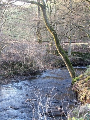 Photo 12x8 Bridgehouse Beck Oxenhope The main tributary of the River Worth c2016
