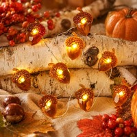 Lichterkette 2M 20 LED Eicheln Herbstdeko FüR Innen Und AußEn Deko Herbst