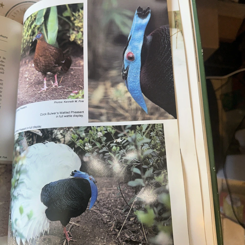 Pheasants of the World by Keith Howman (Hardcover) Breeding And Management - Image 2 of 3