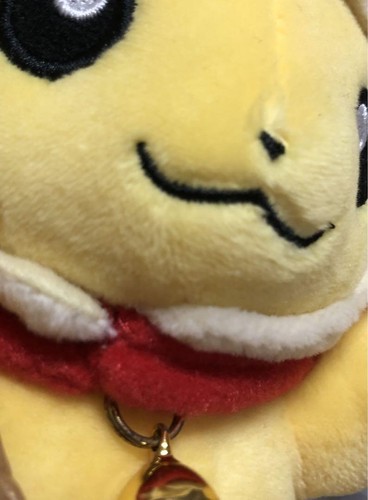 Pokemon Center Original Monthly Pair Pikachu January 2017 Plush 2504TY - Picture 5 of 6