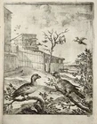 1666 Wenceslaus Hollar (1607-1677), Hawk & Nightingale, Aesop, master engraving