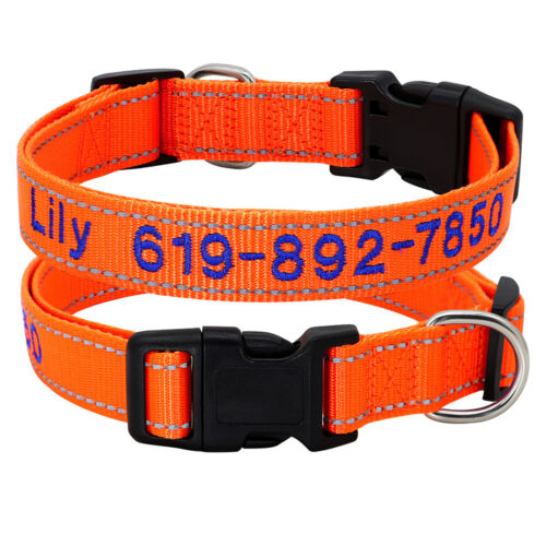 Exclusives Halsband Bestickt mit Name Telefonnummer Personalisiert Hundehalsband - Bild 18 von 23