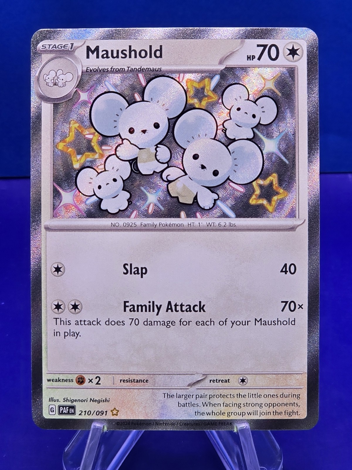 Maushold - 210/091 SV: Paldean Fates Holo NM
