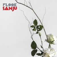 Flook - Sanju - Cd - G3Z
