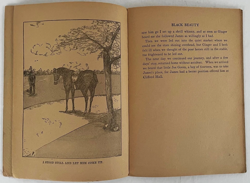 Lady and Horse - Black Beauty Magazine - R Atkinson Fox - Bild 4 von 4