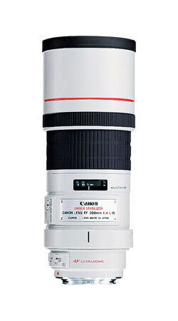 Canon+EF+300mm+f%2F4+L+IS+USM+Lens for sale online | eBay