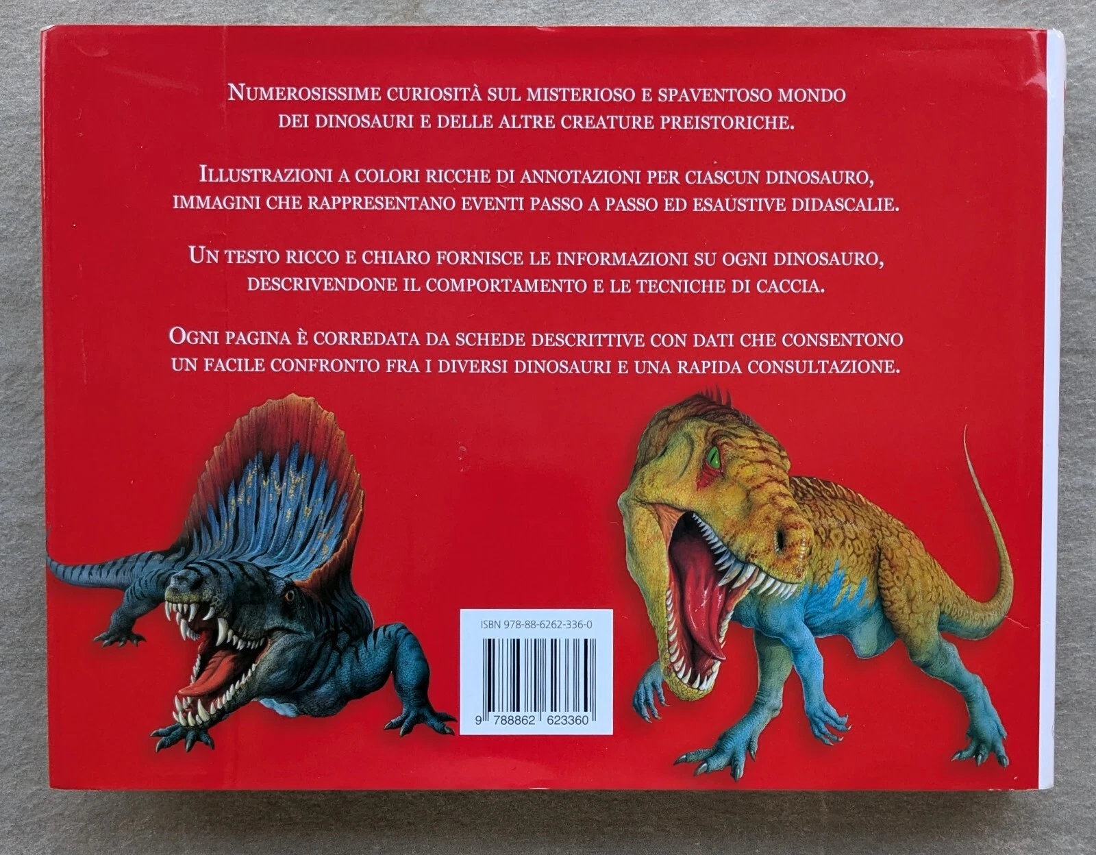 Foto 2 di 6